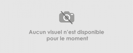 Pas de visuel Pas de visuel